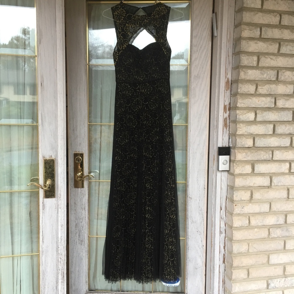 BCBG | Black &Gold Open Back Tulle Pleated Gown - Picture 5 of 9